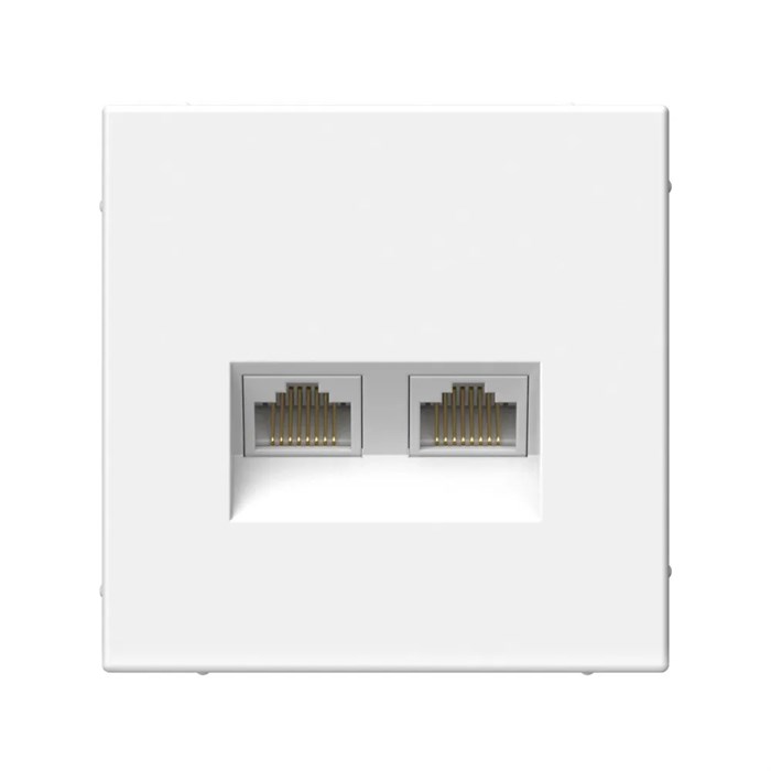ARTGALLERY РОЗЕТКА двойная компьютерная RJ45+RJ45, кат.6А, механизм, ЛОТОС GAL001388 - фото 7877
