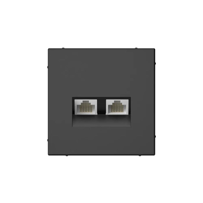 ARTGALLERY РОЗЕТКА двойная компьютерная RJ45+RJ45, кат. 5е, механизм, БАЗАЛЬТ GAL001485 - фото 8000