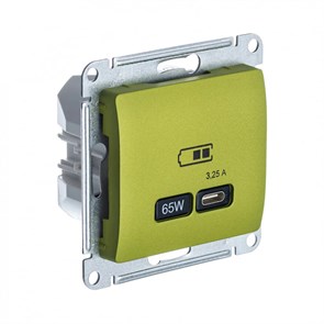 GLOSSA USB РОЗЕТКА тип-C 65Вт высокоскор.заряд. QC, PD, механизм, ФИСТАШКОВЫЙ GSL001027