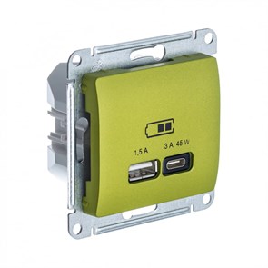 GLOSSA USB РОЗЕТКА А + тип-С 45Вт высокоскор.заряд. QC, PD, мех., ФИСТАШКОВЫЙ GSL001029