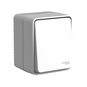 ATLASDESIGN PROFI IP54 О/У 1-клавишный ПЕРЕКЛЮЧАТЕЛЬ, сх.6, 10АХ, СЕРЫЙ ATN543061