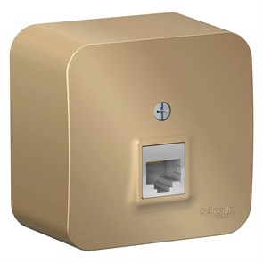 BLANCA О/У РОЗЕТКА компьютерная RJ45, кат.5E, ИЗОЛ.ПЛ., ТИТАН BLNIA045004