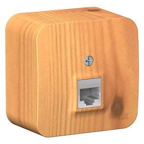 BLANCA О/У РОЗЕТКА компьютерная RJ45, кат.5E, ИЗОЛ.ПЛ., ЯСЕНЬ BLNIA045005