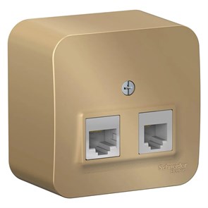 BLANCA О/У РОЗЕТКА двойная: комп.RJ45, кат.5Е + телеф. RJ11 ИЗОЛ.ПЛ., ТИТАН BLNIA045114