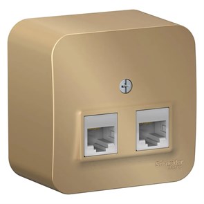 BLANCA О/У РОЗЕТКА двойная компьютерная RJ45, кат.5E, ИЗОЛ.ПЛ., ТИТАН BLNIA045454