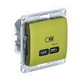 GLOSSA USB РОЗЕТКА тип-C 65Вт высокоскор.заряд. QC, PD, механизм, ФИСТАШКОВЫЙ GSL001027 - фото 10431