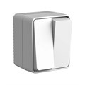 ATLASDESIGN PROFI IP54 О/У 2-клавишный ВЫКЛЮЧАТЕЛЬ, сх.5, 10АХ, СЕРЫЙ ATN543051 - фото 11935