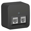 BLANCA О/У РОЗЕТКА двойная: комп.RJ45, кат.5E + телеф. RJ11, ИЗОЛ.ПЛ., АНТРАЦИТ BLNIA045116 - фото 12313