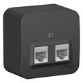 BLANCA О/У РОЗЕТКА двойная компьютерная RJ45, кат.5E, ИЗОЛ.ПЛ., АНТРАЦИТ BLNIA045456 - фото 12347