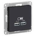 ATLASDESIGN USB РОЗЕТКА A+A, 5В/2,1А, 2х5В/1,05А, механизм, КАРБОН ATN001033 - фото 3105