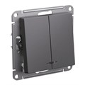 ATLASDESIGN 2-клавишный ВЫКЛЮЧАТЕЛЬ с подсветкой, сх.5а, 10АХ, механизм, БАЗАЛЬТ ATN001453 - фото 4378