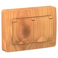 BLANCA С/У IP44 РОЗЕТКА двойная с заземлением со шторками, с крышками, 16А, 250В, ЯСЕНЬ BLNRS441125 - фото 6164