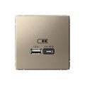 ARTGALLERY USB РОЗЕТКА A + тип-C 45Вт высокоскор.заряд. QC, PD, механизм, ШАМПАНЬ GAL000529 - фото 6906