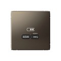 ARTGALLERY USB РОЗЕТКА тип-С 65Вт высокоскор.заряд. QC, PD, механизм, МОККО GAL000627 - фото 7037