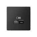 ARTGALLERY USB РОЗЕТКА A + тип-C 45Вт высокоскор.заряд. QC, PD, механизм, БАЗАЛЬТ GAL001429 - фото 7942