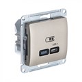 GLOSSA USB РОЗЕТКА тип-C 65Вт высокоскор.заряд. QC, PD, механизм, ТИТАН GSL000427 - фото 9272