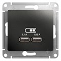 GLOSSA USB РОЗЕТКА А+А, 5В/2,1А, 2х5В/1,05А, механизм, АНТРАЦИТ GSL000733 - фото 9935