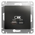 GLOSSA USB РОЗЕТКА А+С, 5В/2,4А, 2х5В/1,2А, механизм, АНТРАЦИТ GSL000739 - фото 9943
